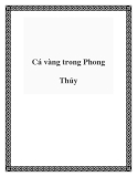 Cá vàng trong Phong Thủy