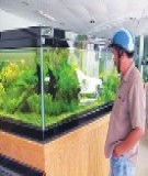 Những lưu ý khi mua biệt thự nghỉ dưỡng 