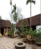 Trùm bất động sản Trung Quốc làm giàu thế nào? 