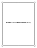 Windows Server Virtualization (WSV)