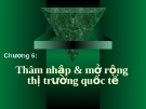 Thâm nhập & mở rộng thị trường quốc tế