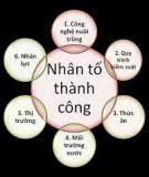 NHÂN TỐ THÀNH CÔNG CHỦ YẾU