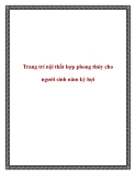 Trang trí nội thất hợp phong thủy cho người sinh năm kỷ hợi