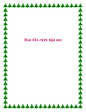 Rau dền chữa hậu sản.