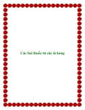 Các bài thuốc từ cây lá bỏng