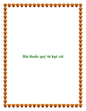 Bài thuốc quý từ hạt vải