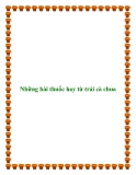 Những bài thuốc hay từ trái cà chua