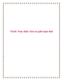Thuốc Nam chữa viêm tai giữa mạn tính.