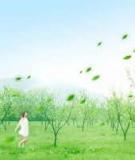 Chuyện Một Người...