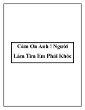 Cảm Ơn Anh ! Người Làm Tim Em Phải Khóc