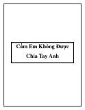 Truyện ngắn Cấm Em Không Được Chia Tay Anh