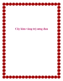 Cây kim vàng trị sưng đau.