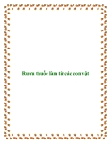 Rượu thuốc làm từ các con vật
