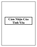 Cảm Nhận Của Tình Yêu
