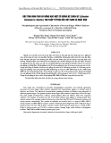 Báo cáo "Đặc tính hình thái và nông học một số giống kê chân vịt (Eleusine coracana (L.) Gaertn.) thu thập từ phía Bắc Việt Nam và Nhật Bản"