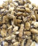 Bài thuốc nam trị bệnh viêm xoang