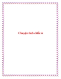 Chuyện tình chiếc ô