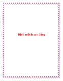 Định mệnh cay đắng