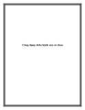 Công dụng chữa bệnh của cà chua