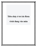 Tiêu chảy ở trẻ do Rota virút đang vào mùa