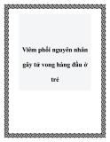 Viêm phổi nguyên nhân gây tử vong hàng đầu ở trẻ