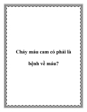 Chảy máu cam có phải là bệnh về máu?