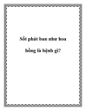 Sốt phát ban như hoa hồng là bệnh gì?