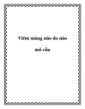 Viêm màng não do não mô cầu