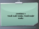 Thuế xuất nhập khẩu - Nguyễn Thu Hằng