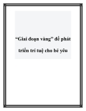 “Giai đoạn vàng” để phát triển trí tuệ cho bé yêu