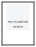 Stress và sự phát triển của não trẻ