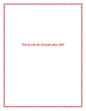 Thứ gì anh cho là hạnh phúc nhất.