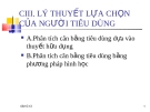  Chương 3 LÝ THUYẾT LỰA CHỌN CỦA NGƯỜI TIÊU DÙNG