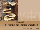 Chương V Thị trường cạnh tranh hoàn toàn