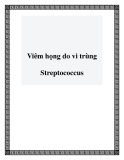 Viêm họng do vi trùng Streptococcus