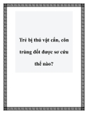 Trẻ bị thú vật cắn, côn trùng đốt được sơ cứu thế nào?