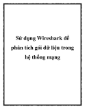 Sử dụng Wireshark để phân tích gói dữ liệu trong hệ thống mạng