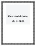 Cung cấp dinh dưỡng cho trẻ bị sốt