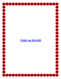 Truyện ngắn Cánh vạc bên đời