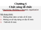 Chức năng tổ chức trong quản trị học