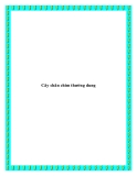 Cây chân chim thường dung