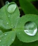 Truyện ngắn Đêm Giáng Sinh
