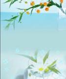 Tình nghĩa vợ chồng