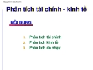 Phân tích tài chính kinh tế