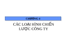 CÁC LOẠI HÌNH CHIẾN LƯỢC CÔNG TY