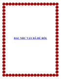ĐAU NHƯ VẬY ĐÃ ĐỦ RỒI.