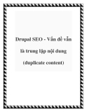 Drupal SEO - Vấn đề vẫn là trung lặp nội dung