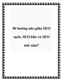 Đi hướng nào giữa SEO sạch, SEO bẩn và SEO mũ xám?