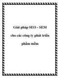 Giải pháp SEO - SEM cho các công ty phát triển phầm mềm