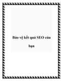 Bảo vệ kết quả SEO của bạn